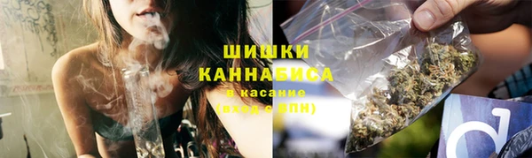 прущие грибы Балахна