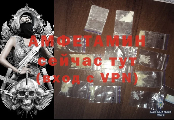 прущие грибы Балахна