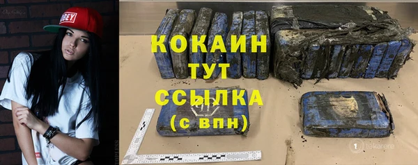 прущие грибы Балахна