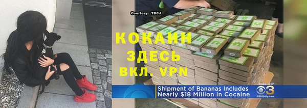 прущие грибы Балахна