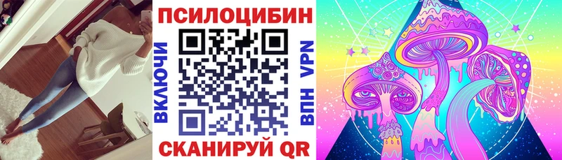 где продают наркотики  Городище  Псилоцибиновые грибы GOLDEN TEACHER 